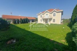 Smederevo - Centar - 507m2+53,8 ari ID#18876, Smederevo, Haus