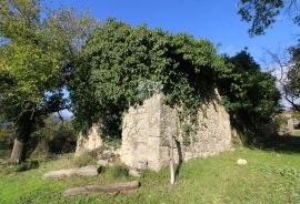 Boljun, okolica, kamena kuća za adaptaciju, Lupoglav, Kuća