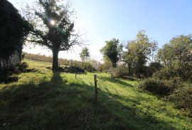 Boljun, okolica, starinsko imanje na prekrasnoj lokaciji, Lupoglav, House