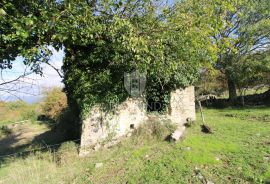 Boljun, okolica, starinsko imanje na prekrasnoj lokaciji, Lupoglav, House