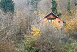 GORSKI KOTAR, BROD MORAVICE- Kuća na osami s velikim potencijalom, Vrbovsko, Haus