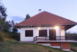 Surdulica, Vlasina Stojkovićeva, kuća 145m2, House