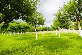 GORSKI KOTAR, BROD NA KUPI - Građevinsko zemljište sa voćnjakom uz rijeku, Delnice, Land