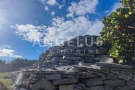 Šolta, Nečujam - maslinik sa 70 starih maslina i bunjom, 4700 m2, Šolta, Land