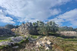 Šolta, Nečujam - maslinik sa 70 starih maslina i bunjom, 4700 m2, Šolta, Terrain