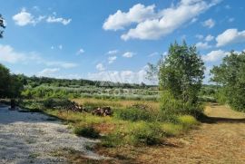 Peruški - Građevinsko i poljoprivredno zemljište, Marčana, Terrain