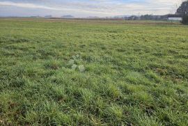 Građevinsko zemljište u Žigrovcu, Sveti Ilija, Land