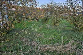 Građevinsko zemljište, Varaždinske Toplice, Land