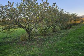 Građevinsko zemljište, Varaždinske Toplice, Terra