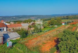 Oprtalj okolica, prostrano građevinsko zemljište na mirnoj lokaciji, Oprtalj, Land