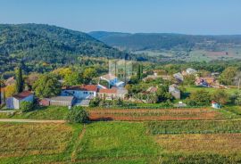 Oprtalj okolica, prostrano građevinsko zemljište na mirnoj lokaciji, Oprtalj, Zemljište