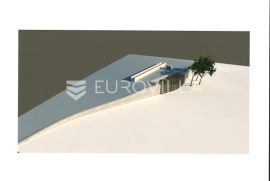 Istra, Rovinj, projekt s dozvolom za gradnju kuće 120m2 na zemljištu s maslinikom 16000m2, Rovinj, Terreno