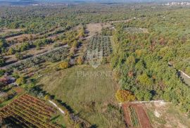 Svetvinčenat, prekrasno zemljište na super lokaciji, Svetvinčenat, Terrain