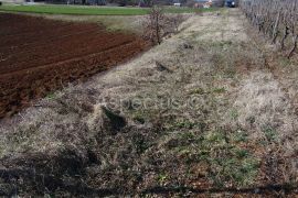 Pazin, građevinsko zemljište 10765m2 poslovne namjene, Pazin, Tierra