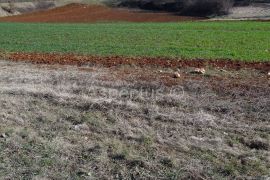 Pazin, građevinsko zemljište 10765m2 poslovne namjene, Pazin, Arazi