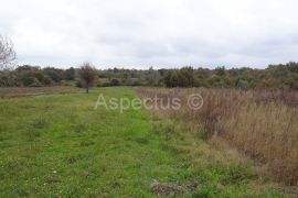 Svetvinčenat, građevinsko zemljište 10575 m2, Svetvinčenat, Land