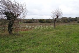 Svetvinčenat, građevinsko zemljište 10575 m2, Svetvinčenat, Land