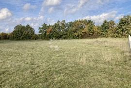 GRAĐEVINSKO ZEMLJIŠTE NA MIRNOJ LOKACIJI, Žminj, Terrain