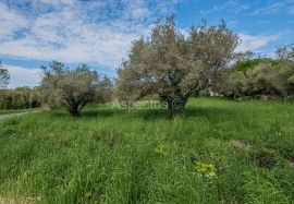 Građevinsko zemljište za izgradnju više kuća, Marčana, Marčana, أرض