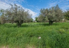 Građevinsko zemljište za izgradnju više kuća, Marčana, Marčana, Tierra