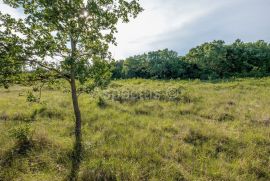 Zemljište uz granicu urbanizacije, Gradina, Vrsar, Vrsar, Terrain