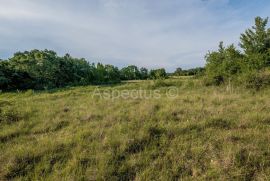 Zemljište uz granicu urbanizacije, Gradina, Vrsar, Vrsar, Tierra