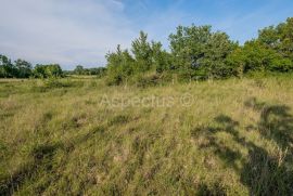 Zemljište uz granicu urbanizacije, Gradina, Vrsar, Vrsar, Zemljište