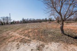 Građevinsko zemljište, 961 m2, 12km od mora, blizina Marčane, Marčana, Land