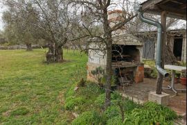 Kuća za adaptaciju sa velikom okućnicom, Kanfanar,okolica, Istra, Kanfanar, Haus