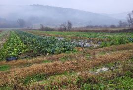 ISTRA, PIĆAN - Prostrano poljoprivredno zemljište, Pićan, Terrain