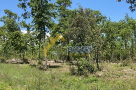 PERUŠKI - građevinska parcela sa pogledom na more, Marčana, Tierra