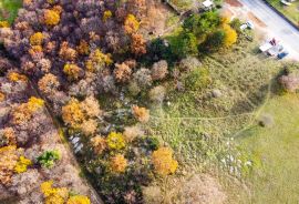 GRAĐEVINSKO ZEMLJIŠTE, PRODAJA, LABIN, 5021 m2, Labin, Land