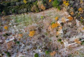 GRAĐEVINSKO ZEMLJIŠTE, PRODAJA, TRGET, 1574 m2, Raša, Земля