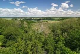 KUĆA, PRODAJA, ČAZMA, GRABOVNICA, 201 m2, Čazma, Haus