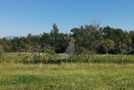 PRODAJA, POLJOPRIVREDNO ZEMLJIŠTE, BIBIĆI, 1100 M2, Svetvinčenat, Terrain