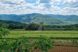 PRODAJA, GRAĐEVINSKO ZEMLJŠTE, MOTOVUN, 1.100 M2, Motovun, أرض