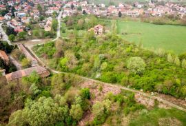 ZEMLJIŠTE, PRODAJA, SISAK, 21.000 m2, Sisak, Land