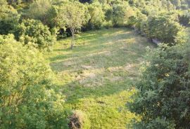 PRODAJA, GRAĐEVINSKO ZEMLJIŠTE, PINEZIĆI, 758 m2, Marčana, Land