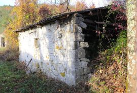 Pićan, okolica kuće na prostranom imanju, Pićan, Ev