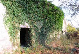 Pićan, okolica kuće na prostranom imanju, Pićan, Ev