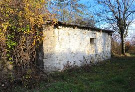 Pićan, okolica kuće na prostranom imanju, Pićan, Ev