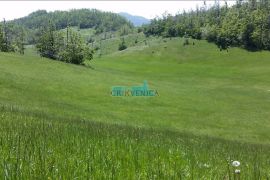 LEPENICE - 19 000 m2, Jelenje, Terrain