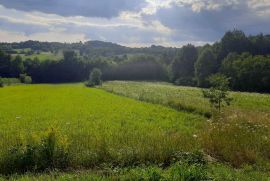 Prodaja placa-selo Tijanje+vodenica, Lučani, Zemljište