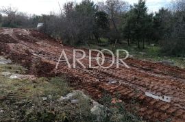 Tar, građevinsko zemljište 15360 m2, Tar-Vabriga, Land