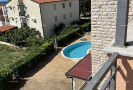 Stan Prodaje stan, 80 m2 sa pogledom na more i zajedničkim bazenom u Novigradu, Novigrad, Stan