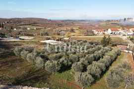 Građevinsko zemljište s pogledom na more, Poreč, Terra