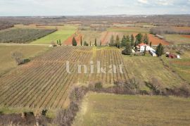 Posebno imanje s puno privatnosti u blizini Poreča, Poreč, House