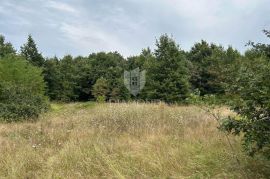 Prostrano građevinsko zemljište u blizini Labina, Labin, Terrain