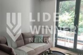 1.5 lux stan, New Minel ID#128764, Novi Beograd, Apartamento