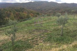 Građevinsko zemljište 1.110 m2 i poljoprivredno 120.000 m2, Draguć, Cerovlje, Terrain